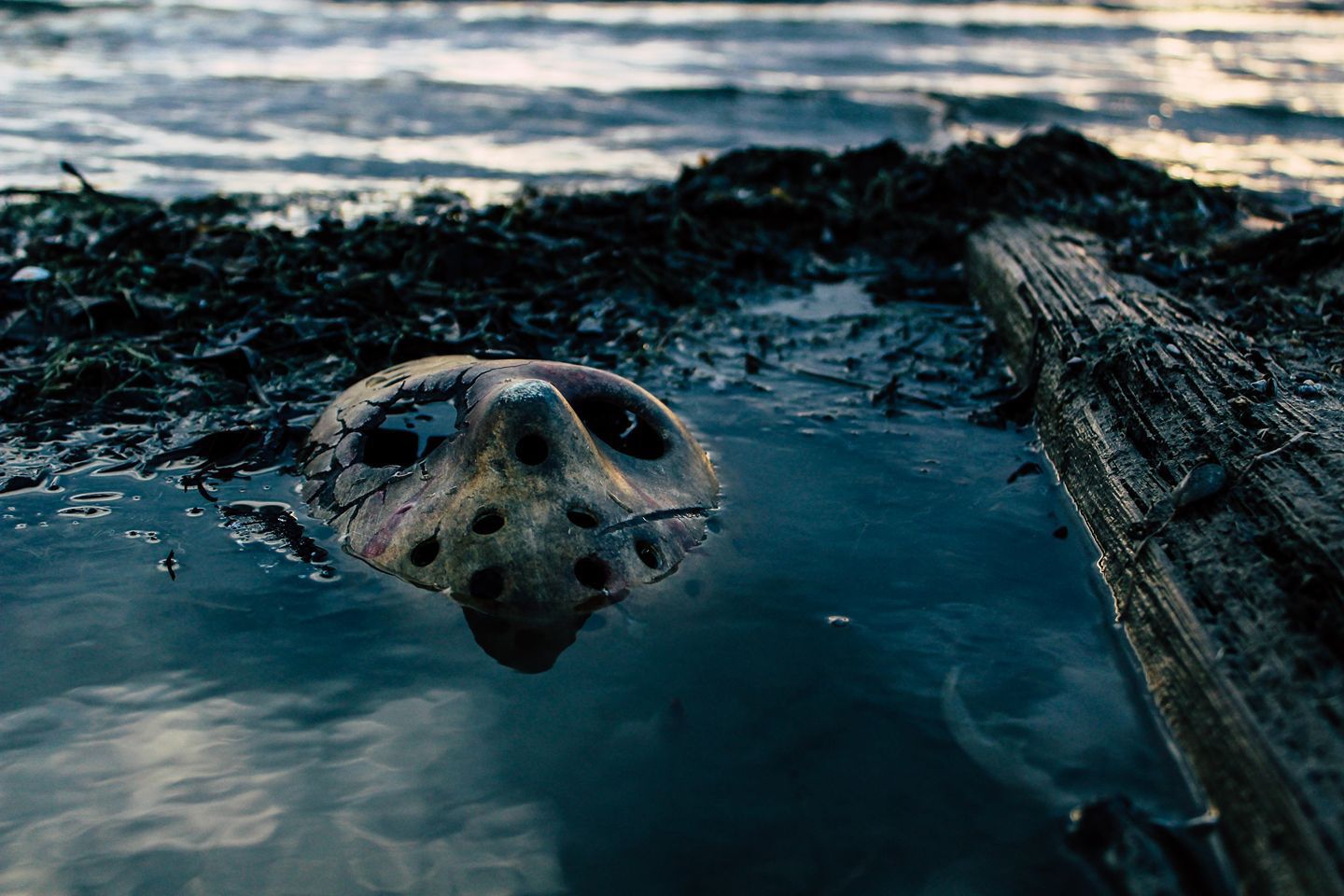 Gallow 5